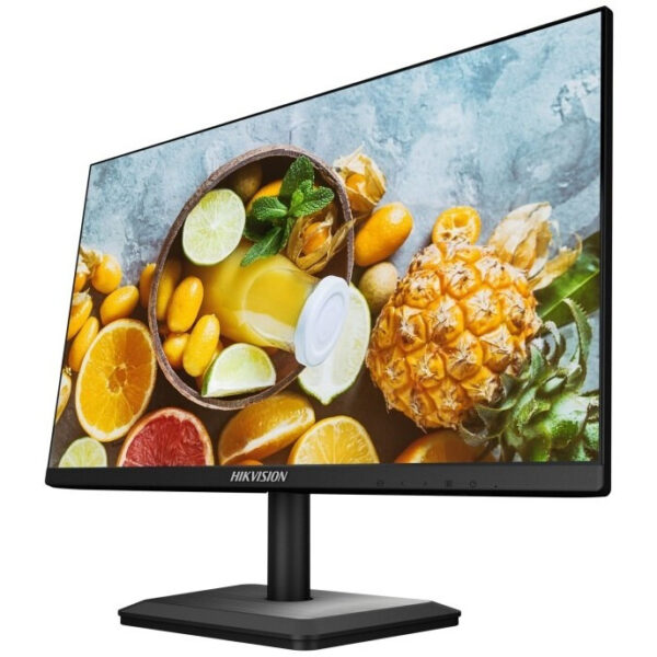 Monitor 24 tum DS-D5024FC-C BNC